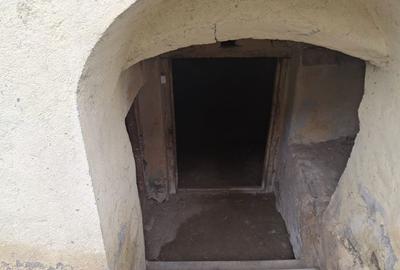 Casă cu 2 camere în Săliște - 2