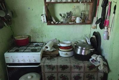 Casă cu 2 camere cu Teren 3500 Mp în Crasna - 6