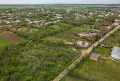 LETCA NOUA, TEREN CONSTRUCTII 1184 MP, FRONT 21 M ! - 15