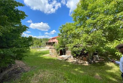 Teren Construcții intravilan de 1195 mp, în Făget - 4