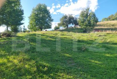 Teren de 2500 mp, în Central