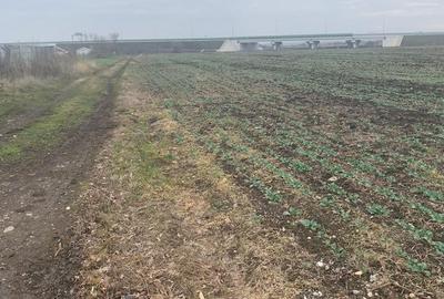 Teren Construcții extravilan de 4850 mp, în Central - 13