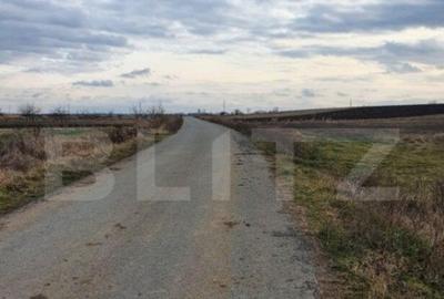 Teren de 6100 mp, în Central - 4