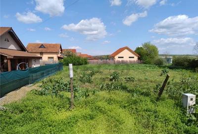 Teren de 500 mp, în Biharia - 3