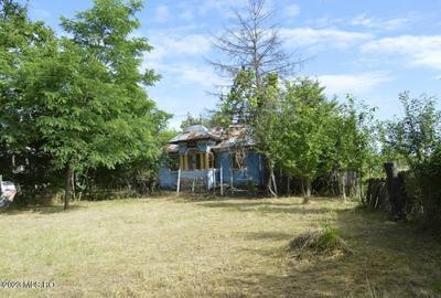 Suseni - Teren intravilan cu casa batraneasca, plan, suprafata 4700 mp! - 6