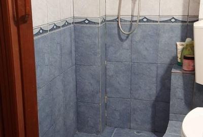 Apartament cu 2 camere decomandat în Rogerius