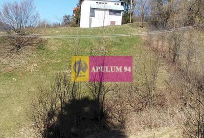 Teren de vânzare în Bușteni - Zona Zamora - 16