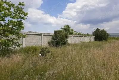 Teren de 1600 mp, în Dragomirești-Vale - 1