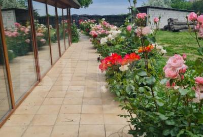 Casă cu 4 camere cu Teren 1710 Mp în Central - 15