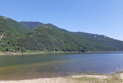 Teren de 1000 mp, în Malaia - 6