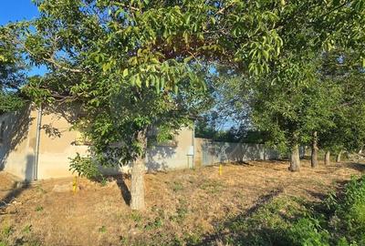 Casa de vanzare in Graniceri aproape de Arad - 1