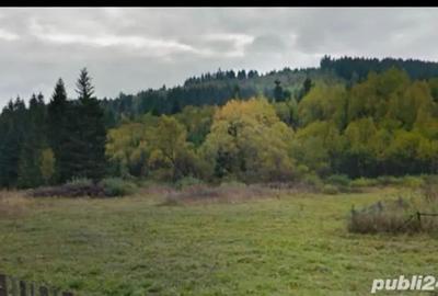 Teren de vânzare Toplița Harghita Teren de vânzare Toplița Harghita - 1