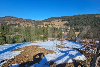 Teren în Galbena - 1