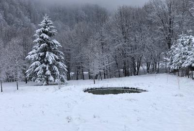 Casă individuală cu 4 camere cu Teren 4150 Mp în Cheile Râșnoavei - 5