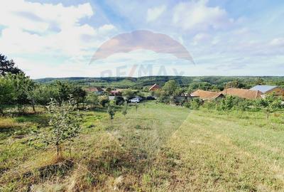 Teren 3,219mp Hidiselu de Sus / Strada Principala - 2