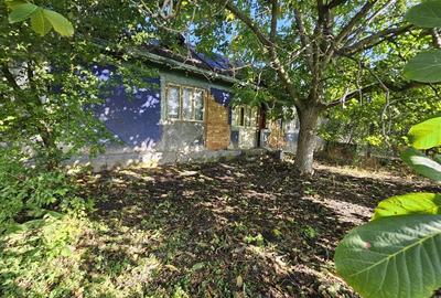 Casă în Conduratu - 4