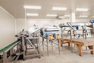 Teren agricol extravilan de 27720 mp, în Vest - 2