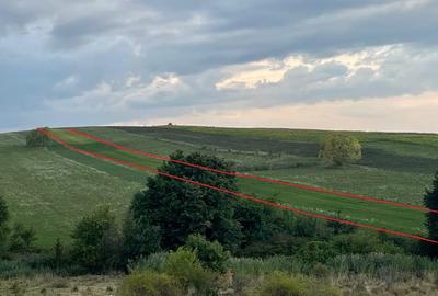 Teren de 11500 mp, în Târgu Neamț - 5