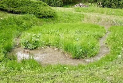 Casa de Vacan?a pe Valea Ighielului 3 camere, 2500 mp curte - 14