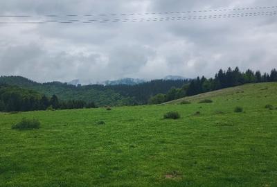 Parcele de vis in munti - Zona Arka Park, cu drum de acces si PUZ aprobat - 2