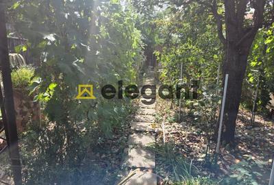 Oportunitate investitie! Teren 735 mp, stradal, Calea Bucuresti-Hanul Doctorului - 2