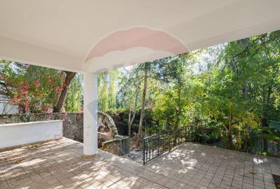 Spațiu comercial, de 474 mp, în Snagov - 3