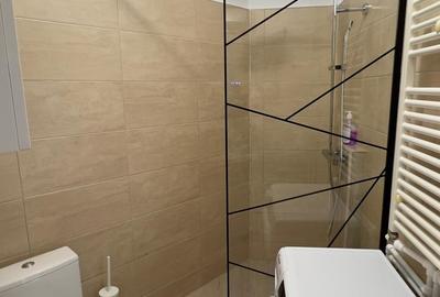 Apartament cu 2 camere semidecomandat, mobilat în Universitate - 10