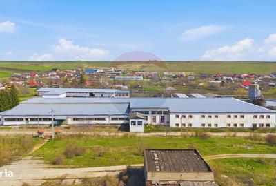 Spațiu comercial, în Central - 15