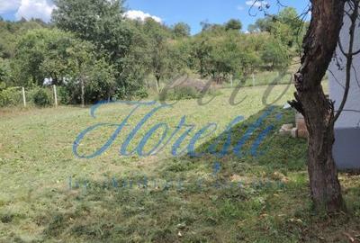 Casă cu 2 camere în Sâncraiu Almașului - 4