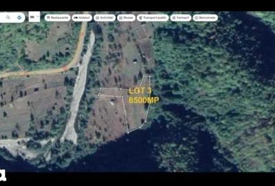 Teren de 7500 mp, în Malaia - 6