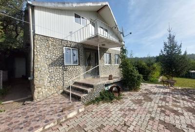 PROPRIETATE SUPERBA IN BIBIRESTI - 1