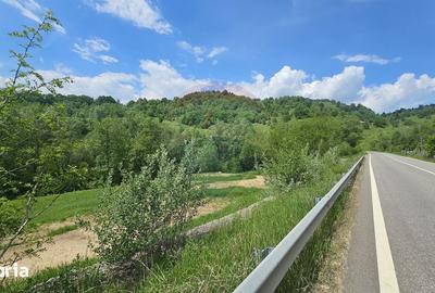 Teren de 2910 mp, în Hangu - 15