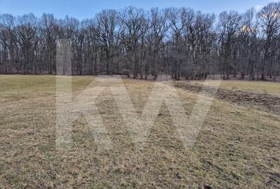 Teren de vanzare - 2.106 mp, agricol extravilan, Calinis, Rasinari - 4