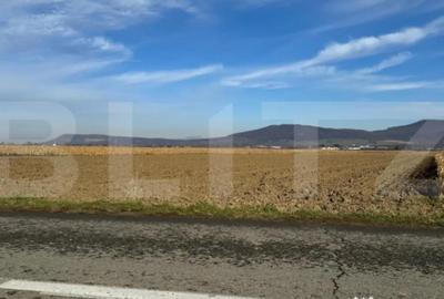 Teren de 5300 mp, în Arcalia - 6