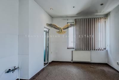Spatiu de birou ideal|Zorilor/Republicii - 12