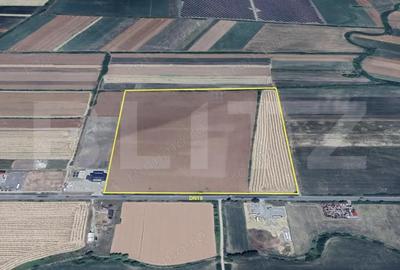 Teren de 100918 mp, în Botiz - 1