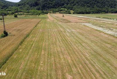 Teren de 5000 mp, în Cocorăștii Caplii - 2