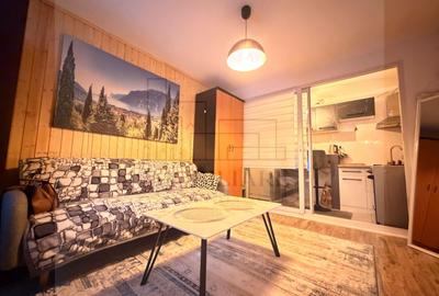 Apartament cu 2 camere, mobilat în Ultracentral - 11