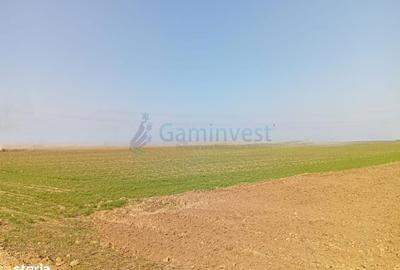 Spațiu comercial, în Biharia - 4