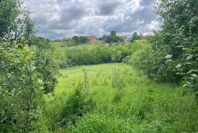 Honorici, Casa Cu Teren, 230 Mp. Suprafata construita, 1.700 Mp. Suprafata teren - 16