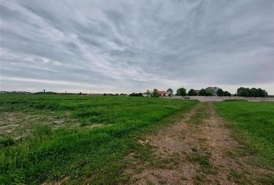 Teren intravilan langa autostrada, Aradul Nou - 2