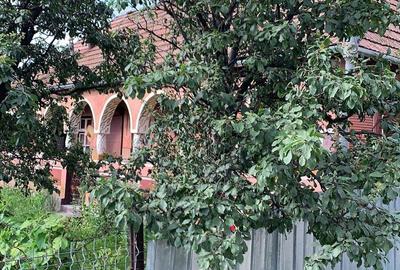 Casă cu 3 camere în Filea - 2