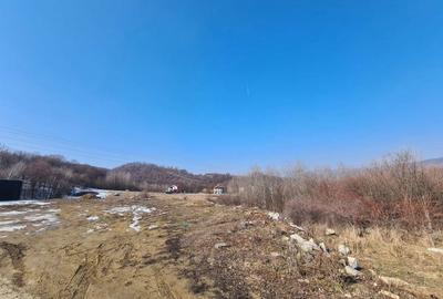 Teren de 9100 mp, în Petrișor - 1