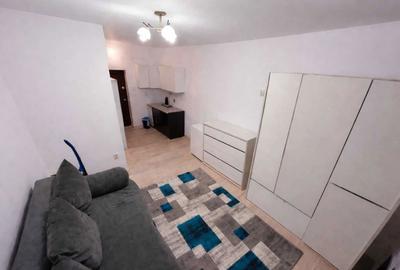 Garsonieră în Noua - 3