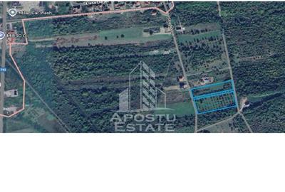 Teren Construibil - Sebis - 6