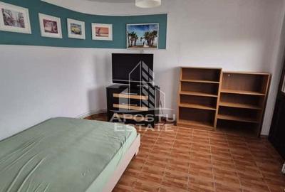 Apartament 1 camera, Centrala proprie , Curte comuna, Dumbravita - 2
