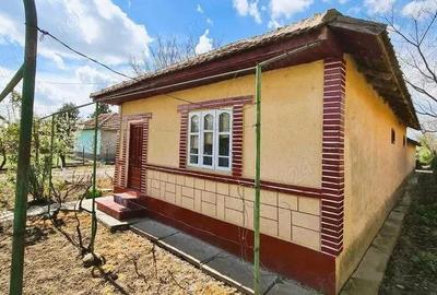 Casă cu Teren 931 Mp în Gheorghe Doja - 7