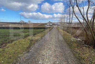 Spațiu comercial, în Cumpărătura