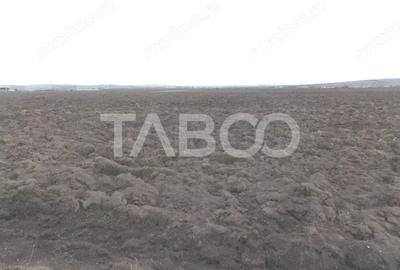 Teren de 10000 mp, în Central - 2