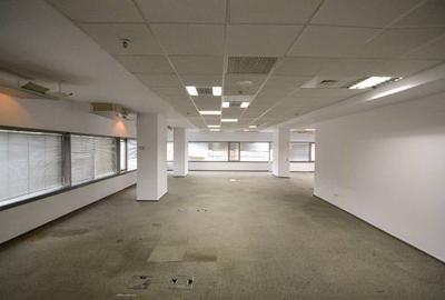 RAMS Business Center, Basarabia, 200 - 1753 mp  0% comision! - 13